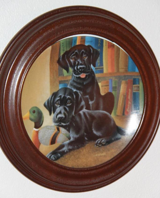 8 Collectible Dog Plates by Knowles in Wood Frames