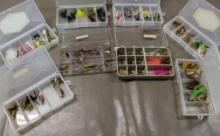 Eight Small Organizers Filled with Dry Flies