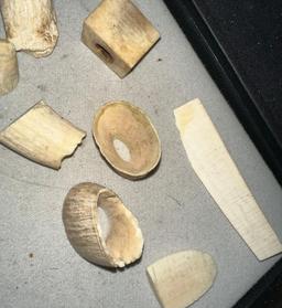 19 Pieces of really Old Mammoth Ivory from Alaska