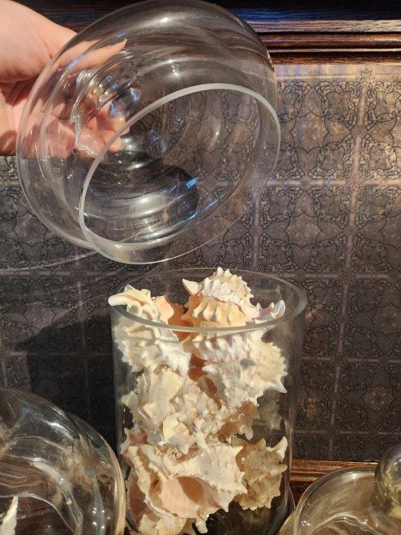Four lovely Apothecary Jars full of Seashells