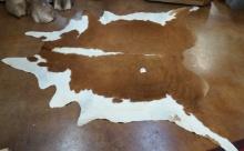 Tanned Full Cowhide Taxidermy Mount