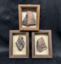 3 Large Petrified Wood Fossil Specimens with Frames