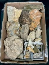 Flat of Fossil Mineral Specimens