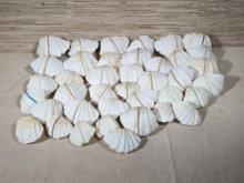 Approx. 40 Sets Bear Paws Clam Shells