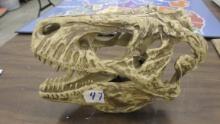 T-rex skull, nice model opens and closes and displays well
