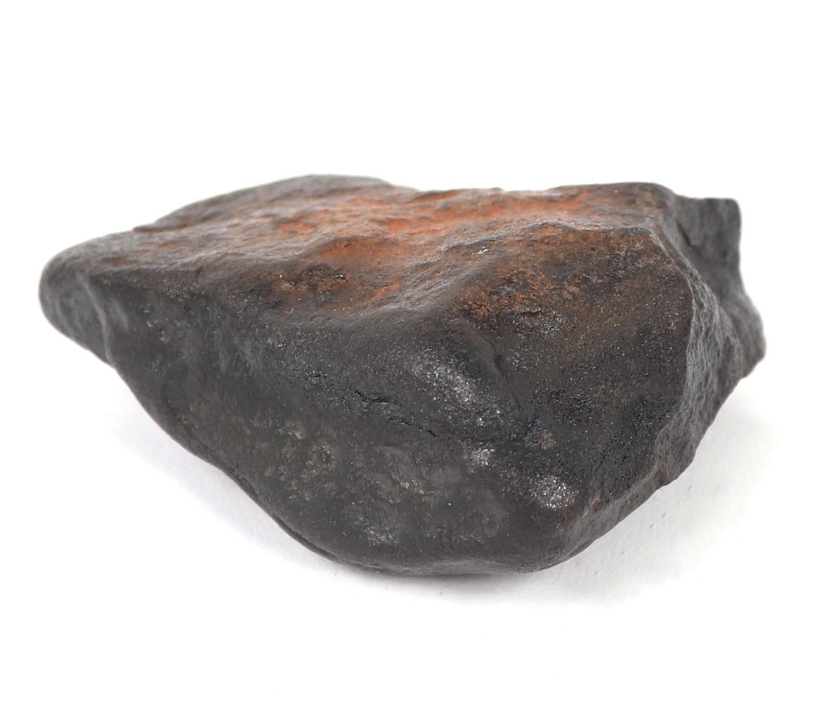 Iron-Nickel Meteorite