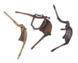 Group of Indonesian Betel Nut Cutters
