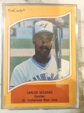 1990 Pro Cards Rookie Carlos Delgado #184