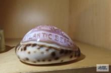 Atlantic Beach, South Carolina souvenir shell