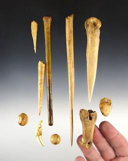 Set of 11 assorted bone artifacts from the Genoa Fort Site in Genoa, New York.