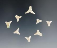 Set of 8 "T" Shaped Shell Beads - Townley Reed Site, Geneva, New York. Circa 1710-1745.