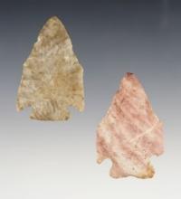 Nice pair of Pentagonals found in Ohio, largest is 2 1/8".