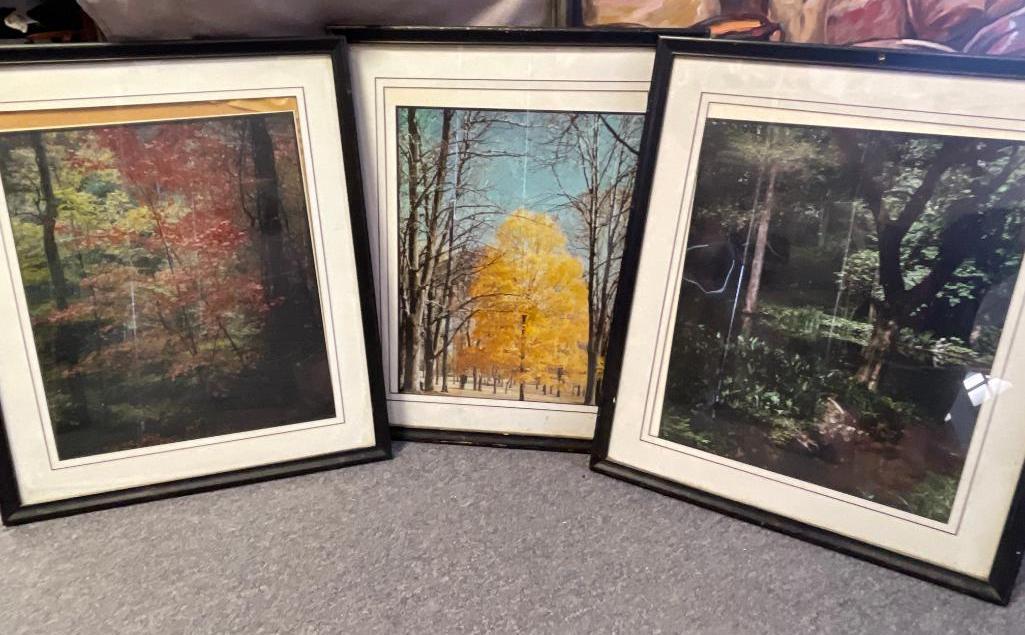 Group of 3 Framed Wall Art Pieces