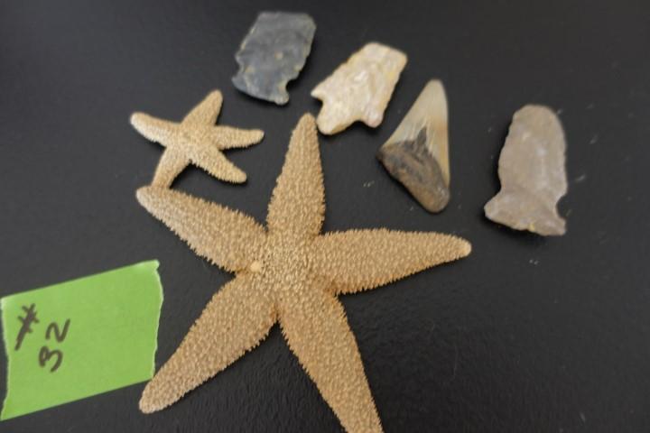 COLLECTION OF LOCAL ARROW HEADS SHARK TOOTH AND STAR FISH