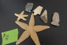 COLLECTION OF LOCAL ARROW HEADS SHARK TOOTH AND STAR FISH