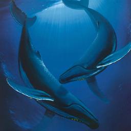 Song of the Deep by Wyland