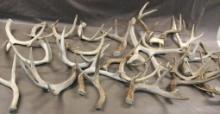 Approximately 15 lbs. Mixed Antlers